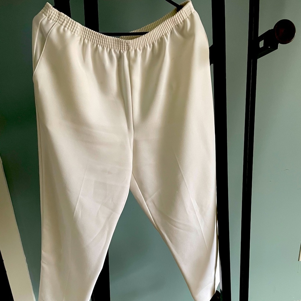Dress pants